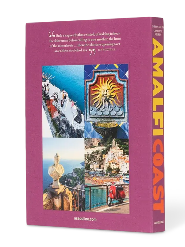 /original/9781614289197_ASUL_PURPLE_4.png_convert-600x800