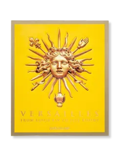 /original/9781614289623_ASUL_YELLOW_1.png_convert-240x320