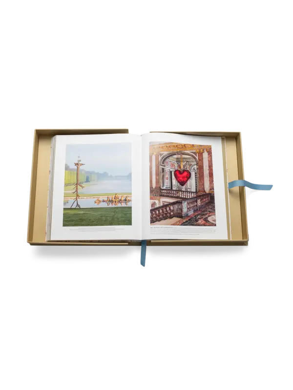 /original/9781614289623_ASUL_YELLOW_6.png_convert-600x800