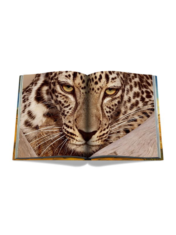 كتاب "Arabian Leopard (Ultimate)"