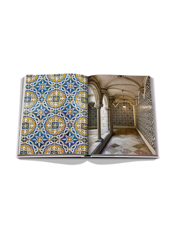 /original/9781649801012_ASUL_Pink_5.png_convert-600x800