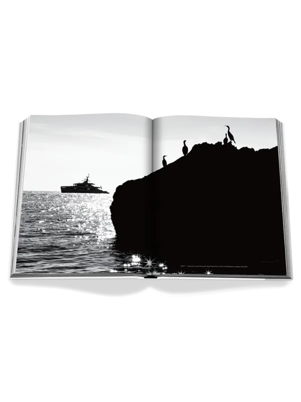 /original/9781649802873_ASUL_WHITE_3.png_convert-600x800