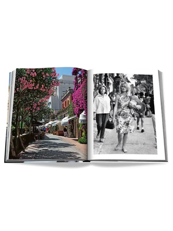 /original/9781649803016_ASUL_BLUE_3.png_convert-600x800