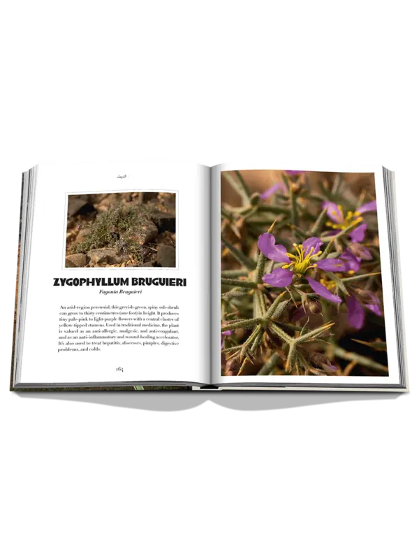 كتاب AlUla Flora