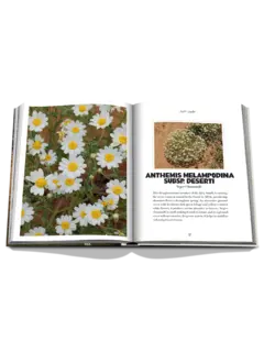 كتاب AlUla Flora