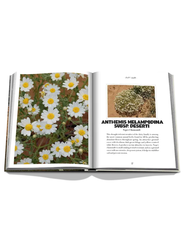 كتاب AlUla Flora