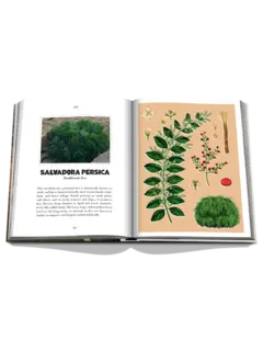 كتاب AlUla Flora