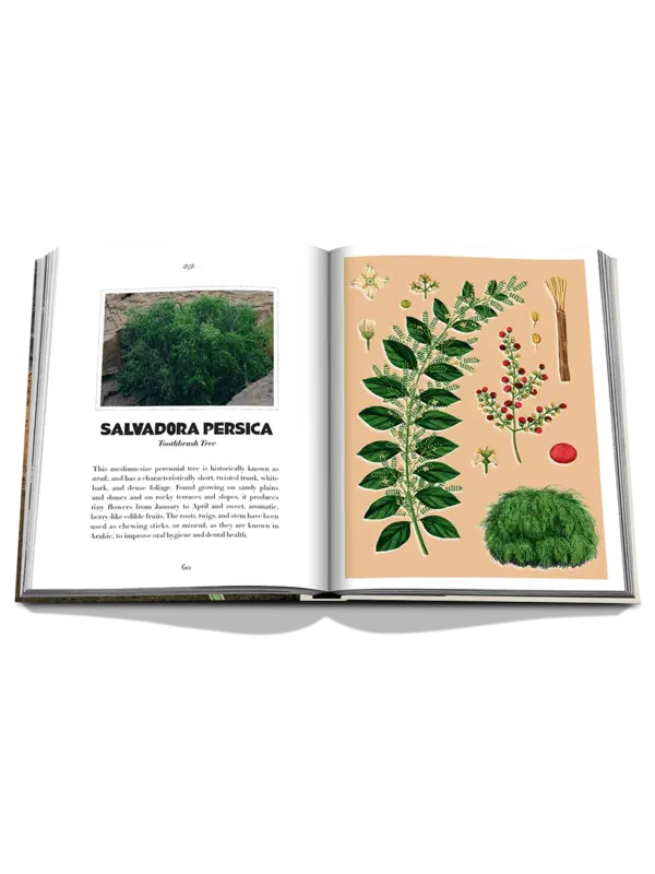 كتاب AlUla Flora
