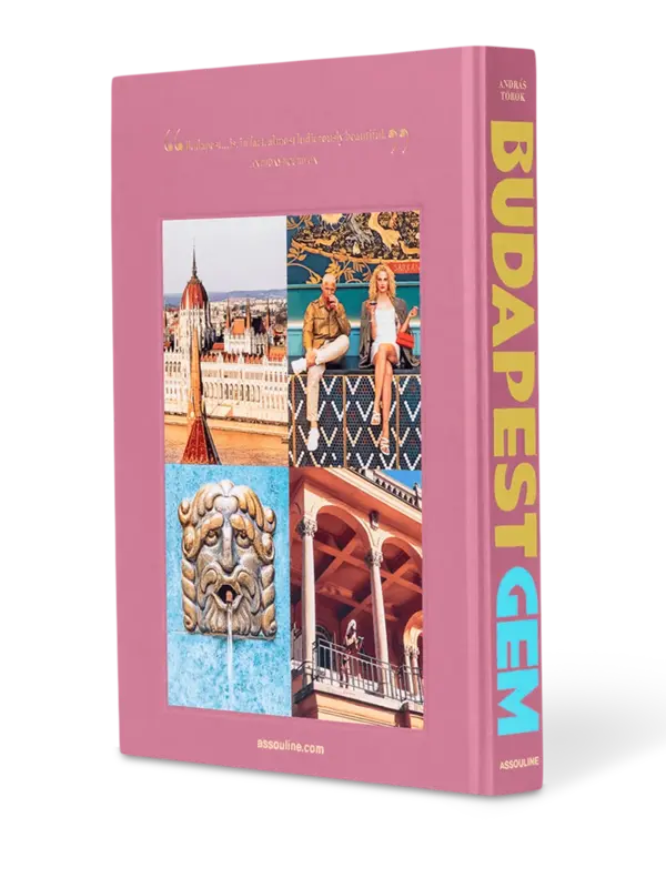 كتاب Budapest Gem