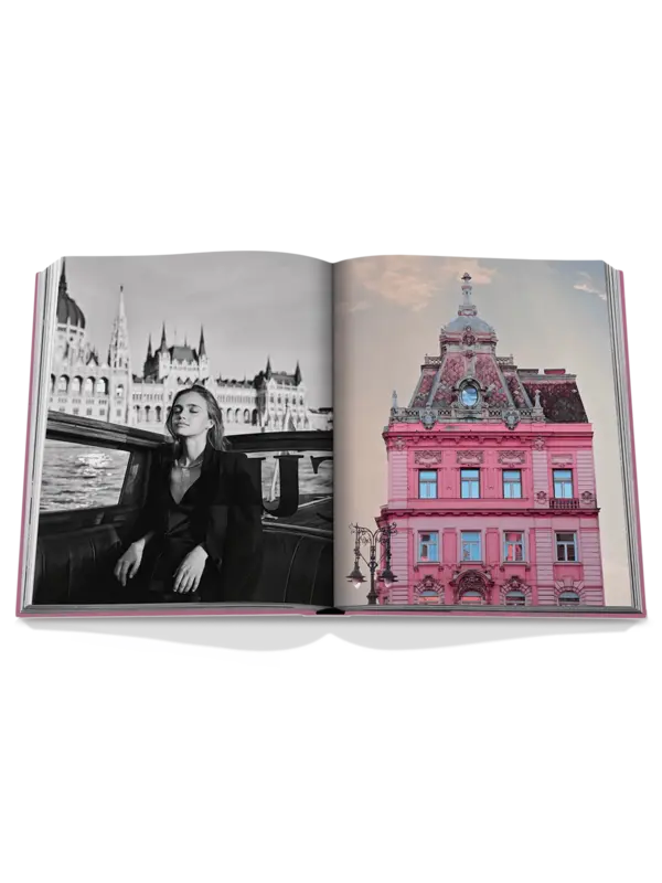 كتاب Budapest Gem