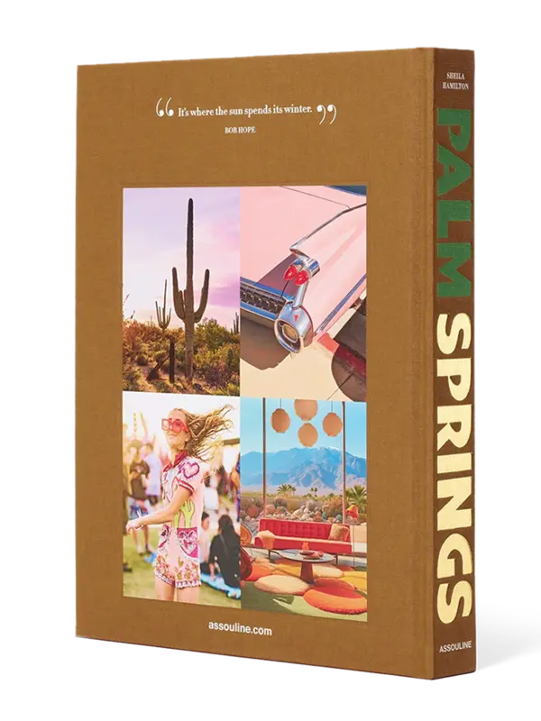 /original/9781649803511_ASUL_Brown_4.png_convert-600x800