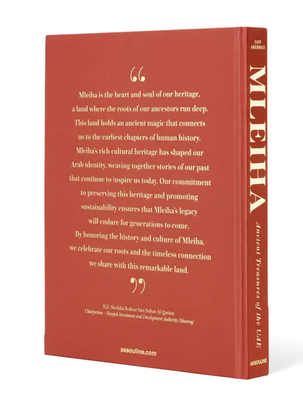 /original/9781649803665_ASUL_Blue_4.png_convert-600x800