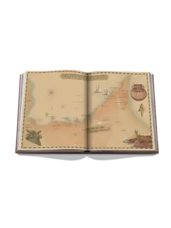 /original/9781649803665_ASUL_Blue_5.png_convert-240x320