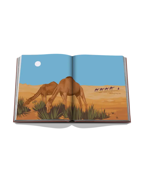 /original/9781649803665_ASUL_Blue_6.png_convert-600x800