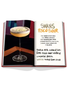 /original/9781649803856_ASUL_Red_6.png_convert-240x320