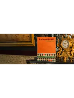 /original/9781649804280_ASUL_Bronze_2.png_convert-240x320