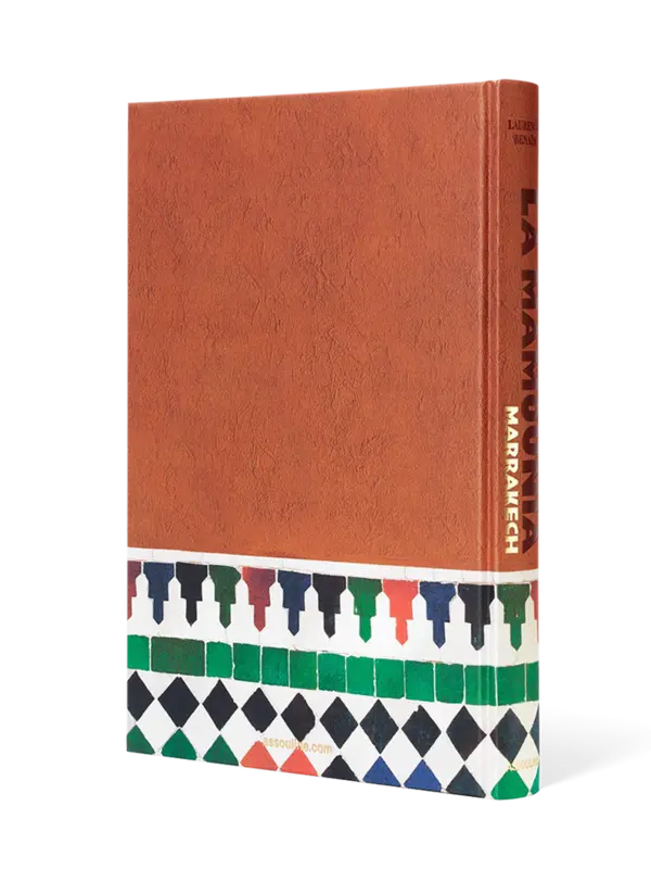 /original/9781649804280_ASUL_Bronze_4.png_convert-600x800