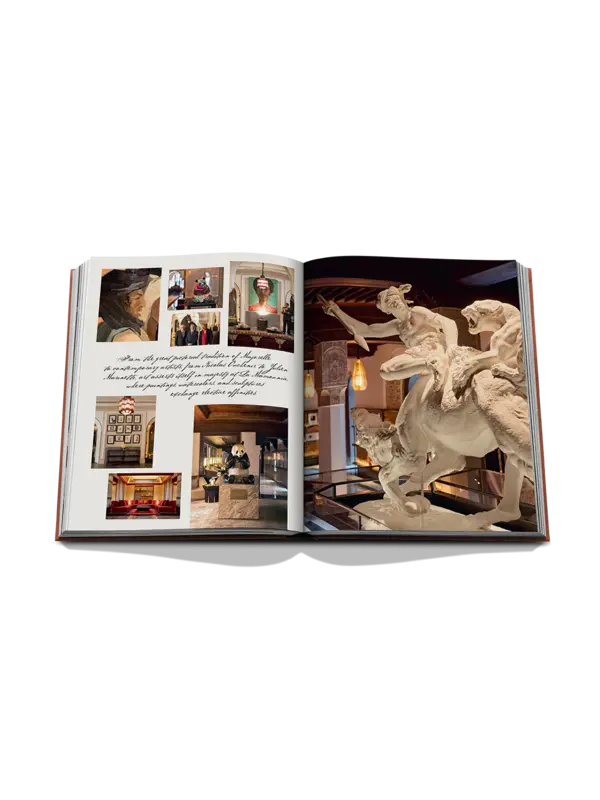 /original/9781649804280_ASUL_Bronze_7.png_convert-600x800