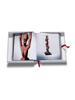 /original/9781649804310_ASUL_White_6.png_convert-240x320