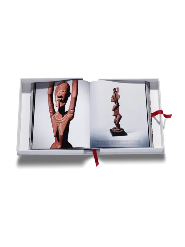 /original/9781649804310_ASUL_White_6.png_convert-600x800