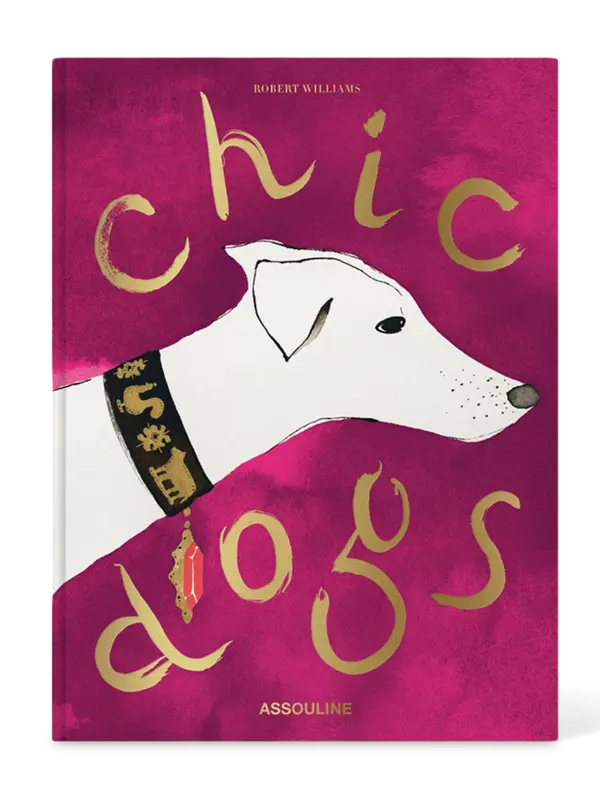 /original/9781649804419_ASUL_Pink_1.png_convert-600x800