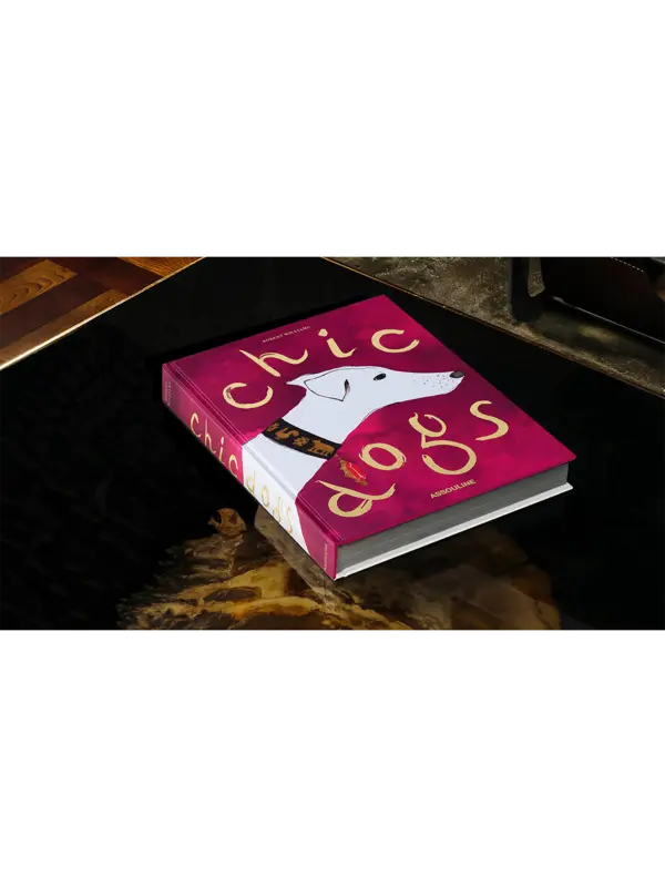 /original/9781649804419_ASUL_Pink_2.png_convert-600x800