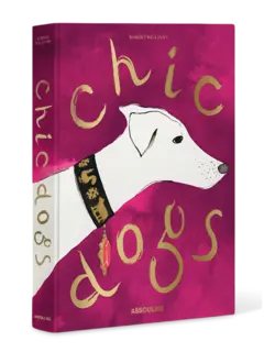 /original/9781649804419_ASUL_Pink_3.png_convert-240x320