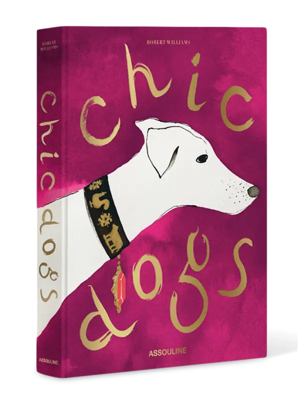 /original/9781649804419_ASUL_Pink_3.png_convert-600x800