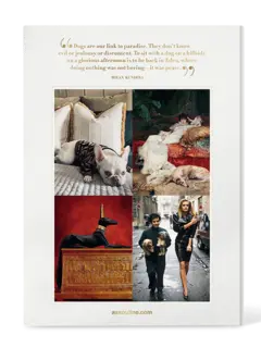 /original/9781649804419_ASUL_Pink_4.png_convert-240x320