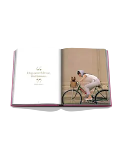 /original/9781649804419_ASUL_Pink_6.png_convert-240x320