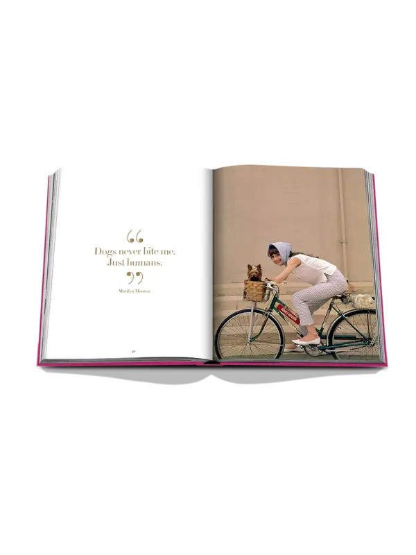 /original/9781649804419_ASUL_Pink_6.png_convert-600x800