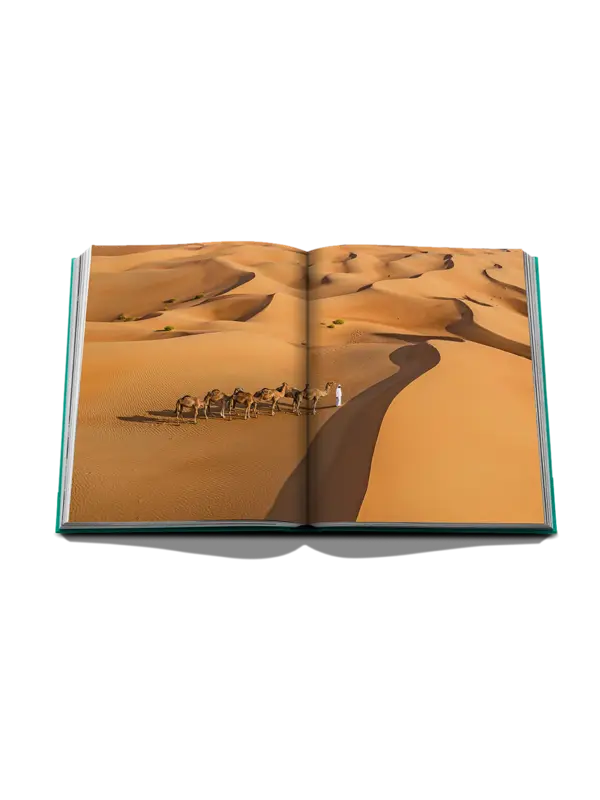 /original/9781649804440_ASUL_Green_5.png_convert-600x800