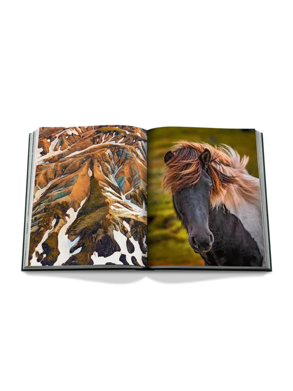 /original/9781649804471_ASUL_BLACK_6.png_convert-600x800