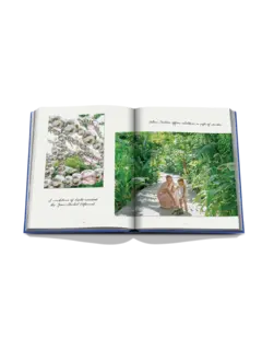 /original/9781649804488_ASUL_Black_6.png_convert-240x320