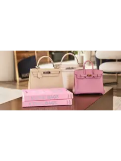 /original/9781649804815_ASUL_Pink_2.png_convert-240x320