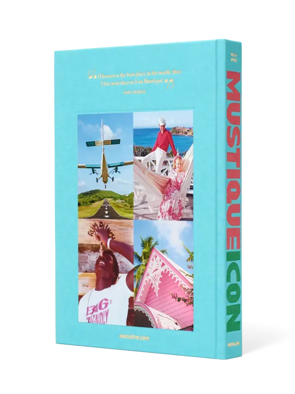 /original/9781649805225_ASUL_Aqua_4.png_convert-600x800