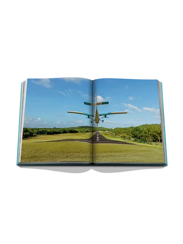 /original/9781649805225_ASUL_Aqua_5.png_convert-600x800