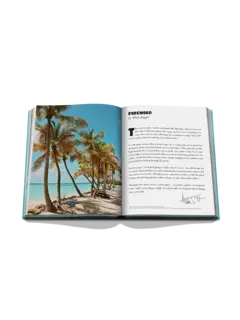 /original/9781649805225_ASUL_Aqua_6.png_convert-240x320