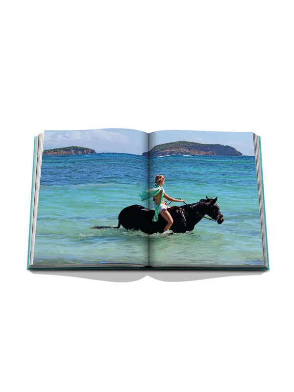 /original/9781649805225_ASUL_Aqua_8.png_convert-600x800