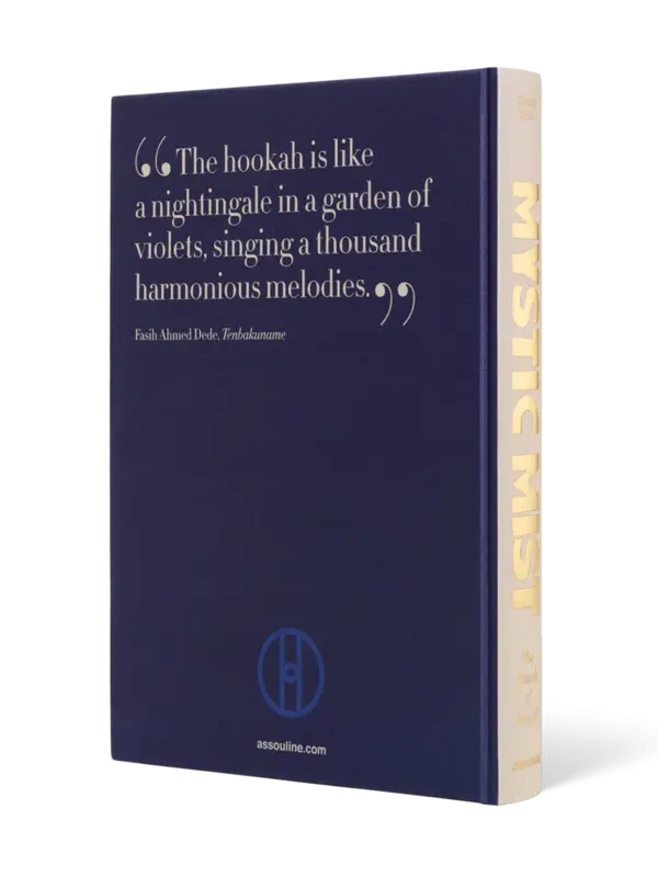 /original/9781649805560_ASUL_BLUE_4.png_convert-600x800