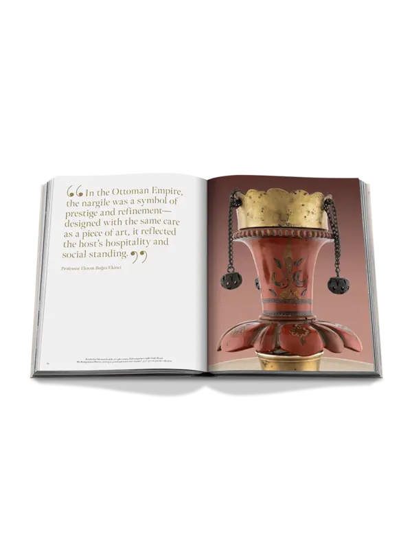 /original/9781649805560_ASUL_BLUE_7.png_convert-600x800