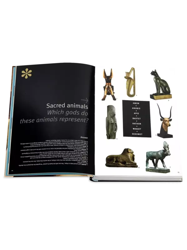 كتاب ألعاب مصر