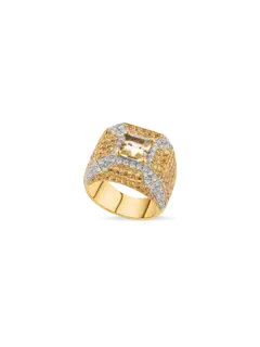 /original/A-AHM002_CONS_BERYL_DIAM_1.png_convert-240x320