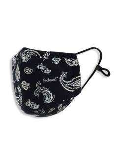 Three-Layer Paisley Face Mask