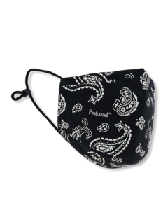 Three-Layer Paisley Face Mask