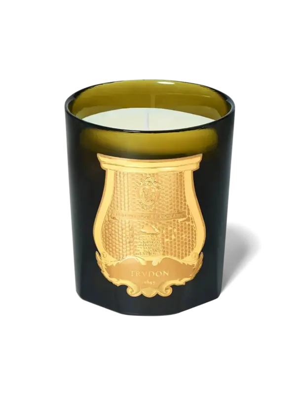 /original/ABD07TRU_CTUR_Green_1.png_convert-600x800