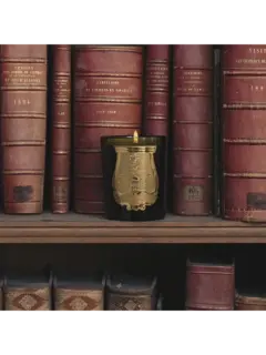 /original/ABD07TRU_CTUR_Green_2.png_convert-240x320