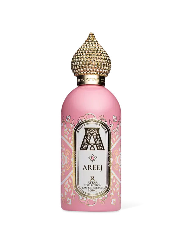 /original/ACAJ04_ATCO_NA_1.png_convert-600x800