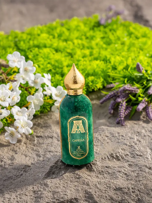 /original/ACC16_ATCO_NA_2.png_convert-600x800