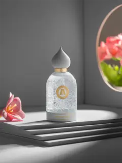 /original/ACSCK20_ATCO_NA_2.png_convert-240x320